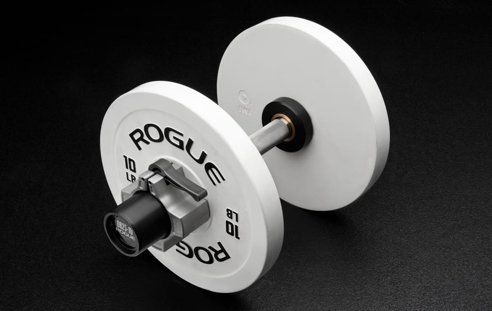 Rogue weights outlet dumbbells
